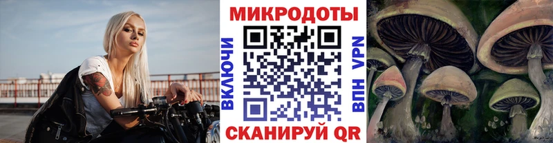 Псилоцибиновые грибы Magic Shrooms  Шимановск 
